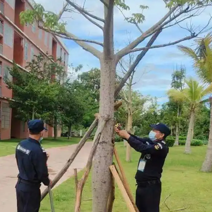 聞“風(fēng)”而動(dòng)，全力以“復(fù)” | 災(zāi)后重建，百雀人在行動(dòng)